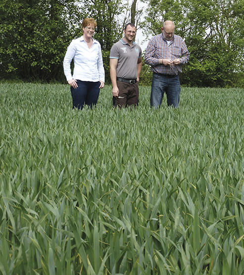 Bianca Giese (HaGe), Lutz-Frederik Menzel, Carsten Schmidt (BSL)