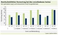 Kornertrag