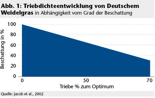 triebdichteentwicklung in Abhängigkeit vom Bedeckungsgrad