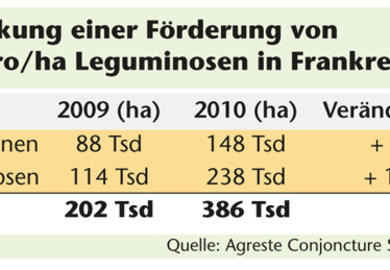 Neue Förderung bietet Chancen