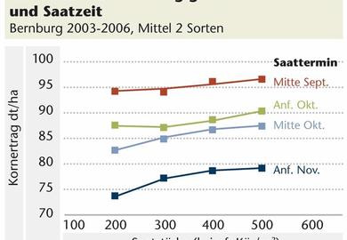 Geplante Saatstärke neu kalkulieren!