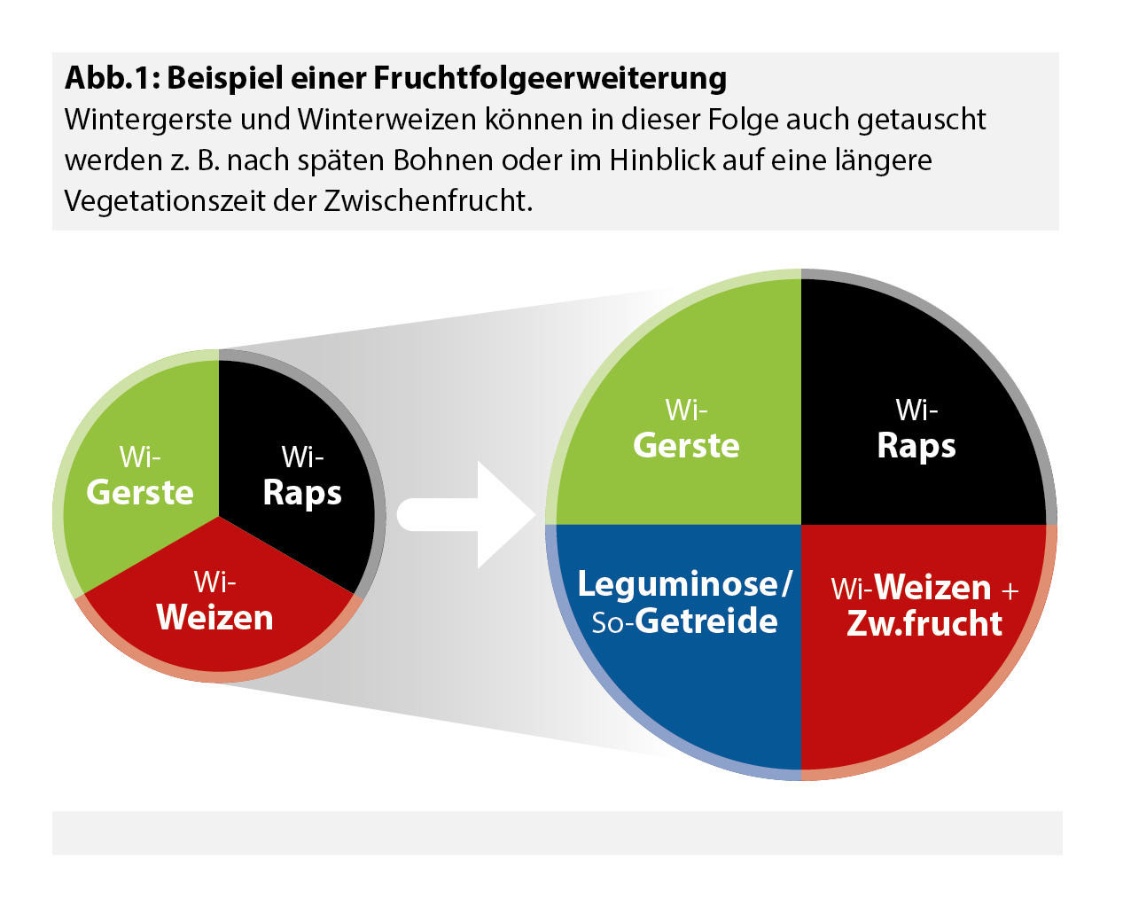 Fruchtfolge