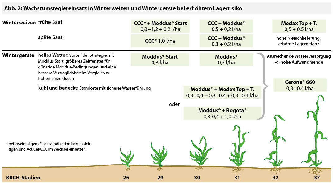 WR-Einsatz bei erhöhtem Lagerrisiko; zum Vergrößern bitte anklicken