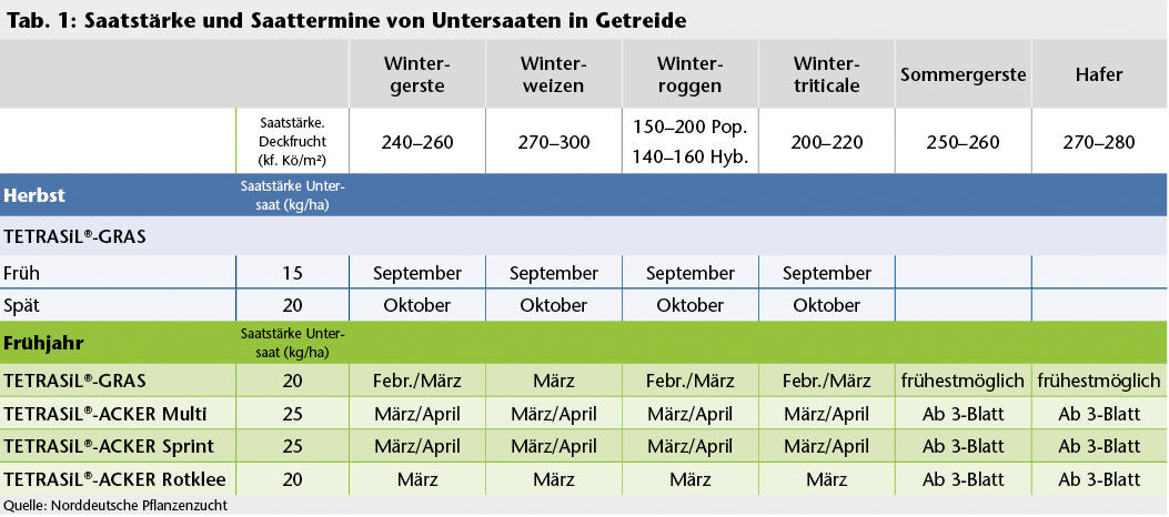 Saattermine und Saatstärken von Untersaaten in Getreide