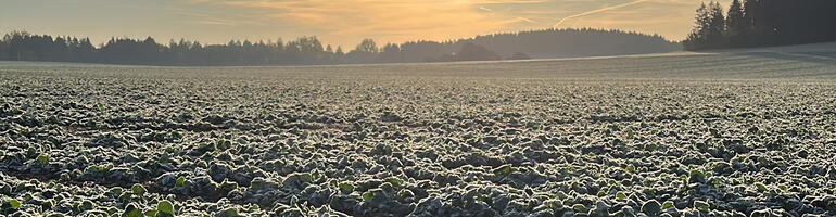 Nährstoffe für einen entspannten Winter