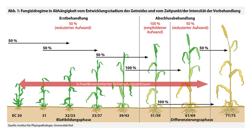 Pflanzenschutz: Pauschale Behandlungen vermeiden!