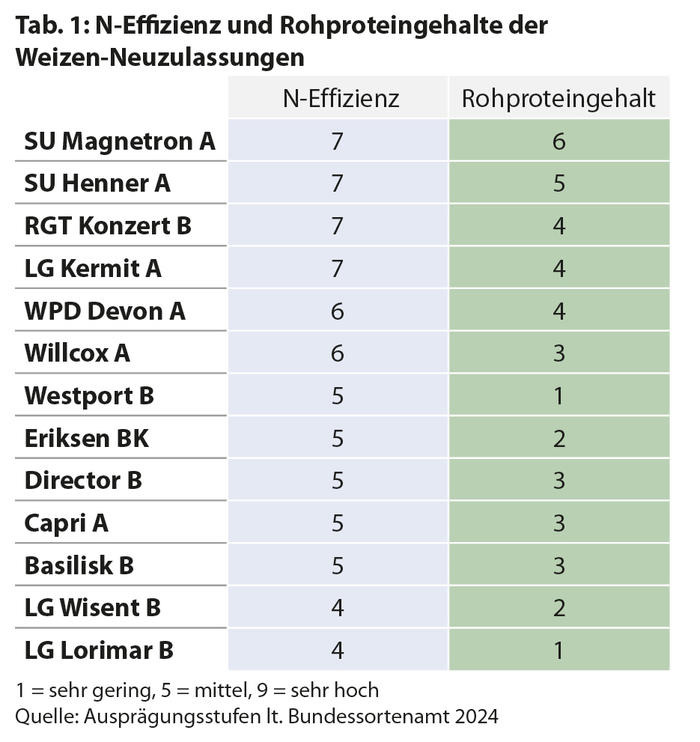 N-Effizienz und RP-Gehalte von Neuzulassungen Witerweizen 2024