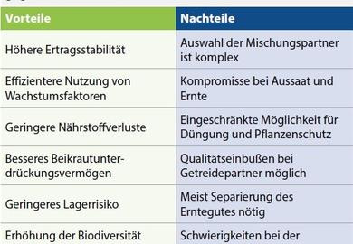 Mehr Ertragssicherheit bei Körnerleguminosen