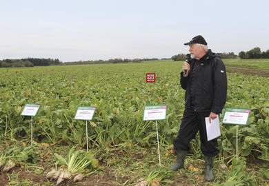 „Unser Ertrags-Spitzenreiter”