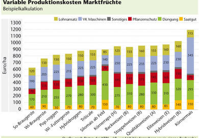 Was rechnet sich 2010?