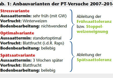 Weizensorten im Härtetest