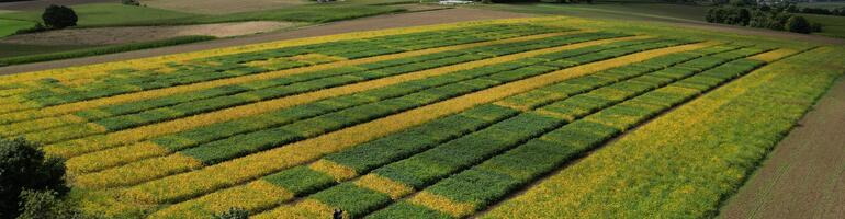 23 Jahre Sojakompetenz in Moosburg