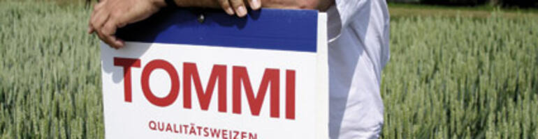 Premiumweizen – welche Sorte macht das Rennen?