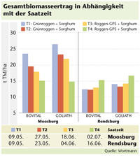 Biomasse Saatzeit