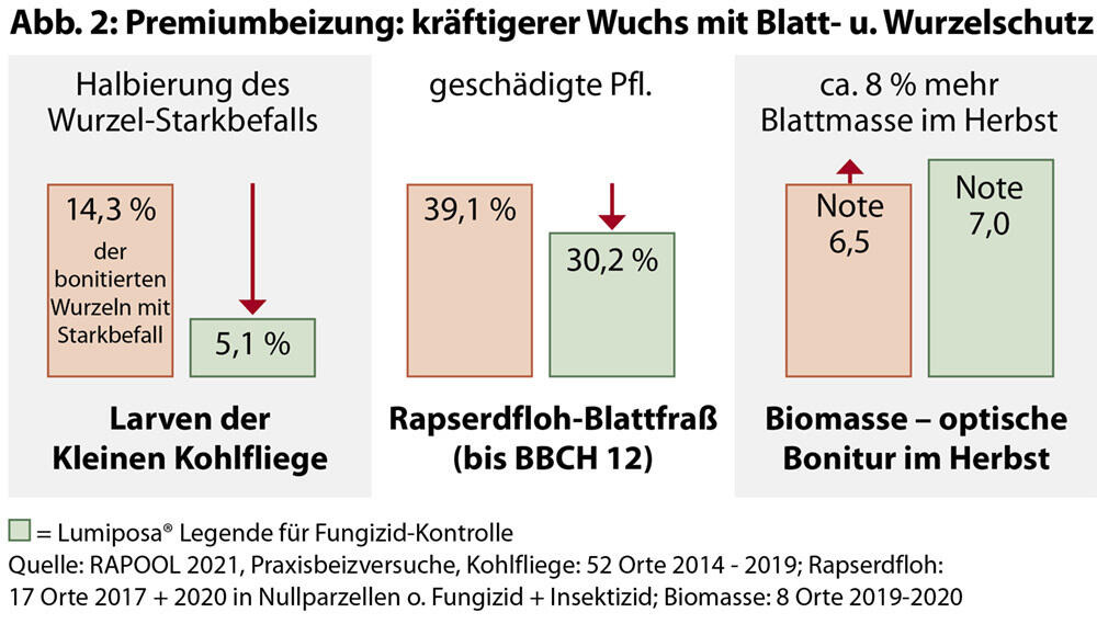 Premiumbeizung: kräftigerer Wuchs mit Blatt- u. Wurzelschutz