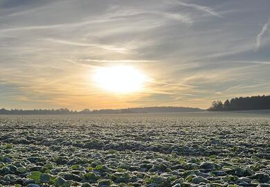 Nährstoffe für einen entspannten Winter
