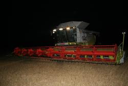 Dreschen bis in die Nacht