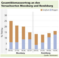 Biomasseertrag