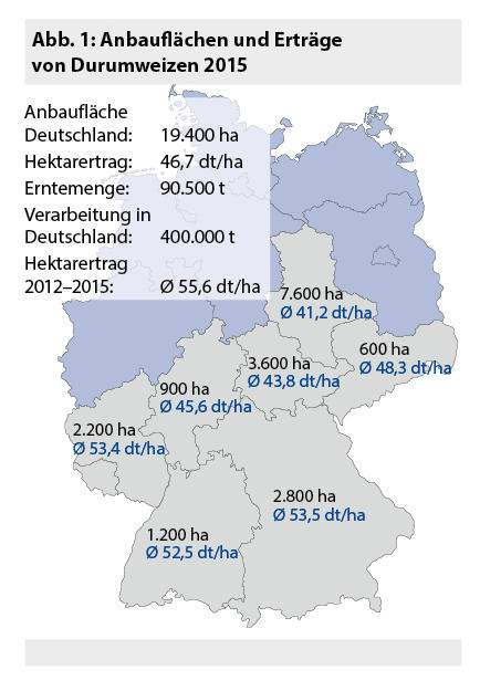 Anbauflächen und Erträge