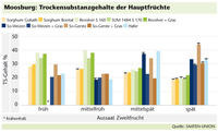 TS-Gehalt der Hauptfrüchte Moosburg