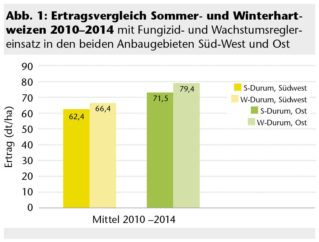Ertragsvergleich Sommer/Winterdurum; zum Vergrößern bitte anklicken