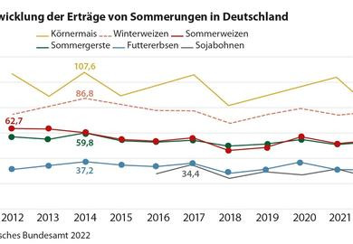 Wie rechnen sich Sommerungen 2023?