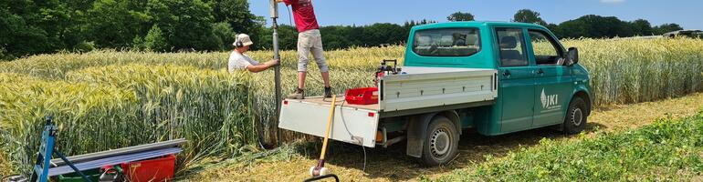 Halbzwerge beim Roggen – vom Konzept zur Praxis