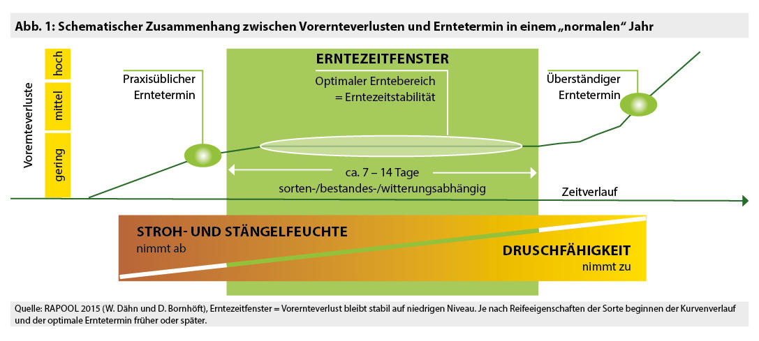 Zusammenhang Vorernteverlust und Erntetermin